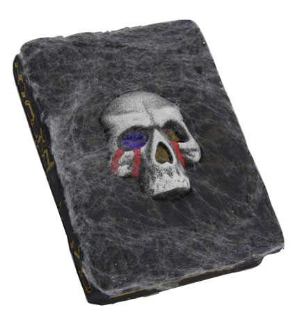 Decoration SKULL livre + LED